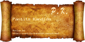 Pantits Kandida névjegykártya